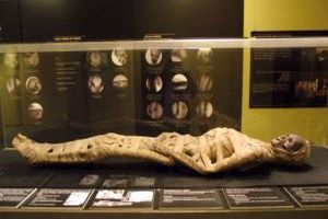 EXPOSEN 10 ANYS DESP