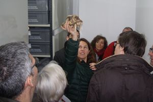 Una visita guiada al