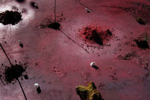 Inauguració doble d