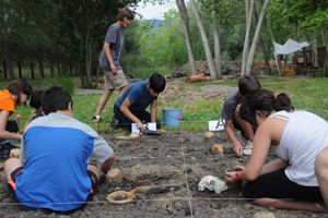 Noves activitats d&#