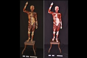 Finalitzen les resta