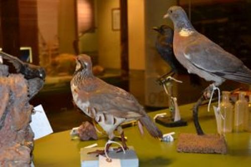 Guanyadors del concu