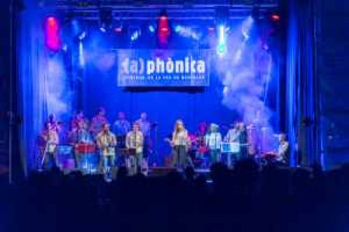 El Festival de la Ve