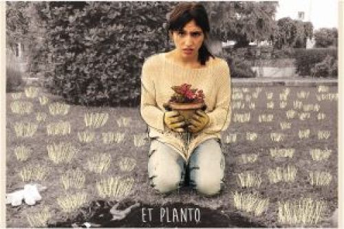 El Vol del Pollastre