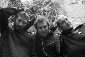 Ovidi3 presentarà a