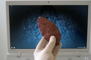 El Museu Arqueològi