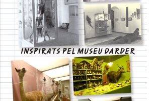 El Museu Darder de B