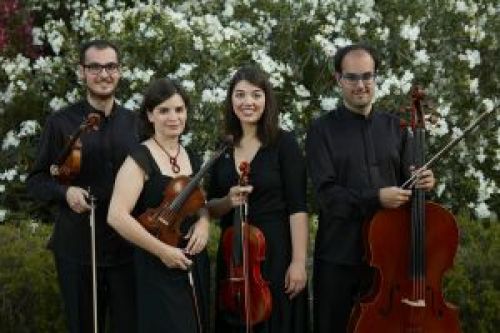 Cosmos Quartet porta