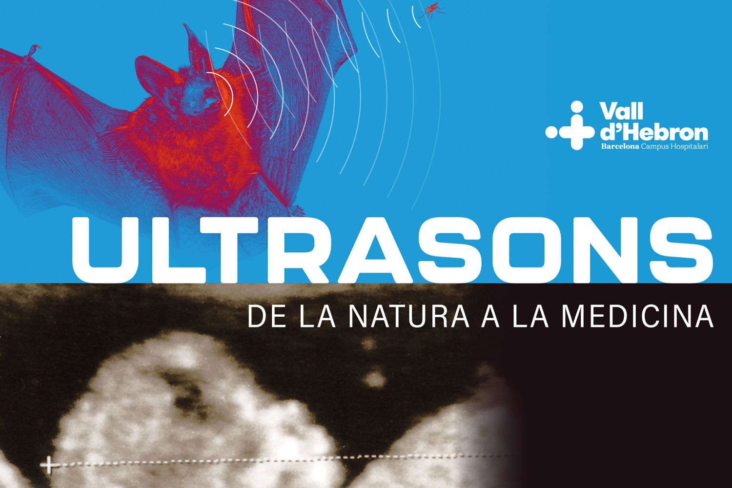 Visita guiada a l'exposició “Ultrasons. De la natura a la medicina” Visita guiada a l'exposició “Ultrasons. De la natura a la medicina”