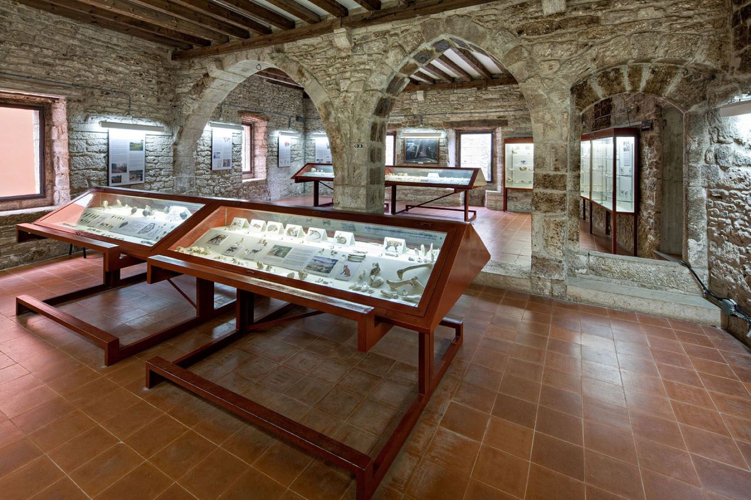 Museu Arqueològic Comarcal