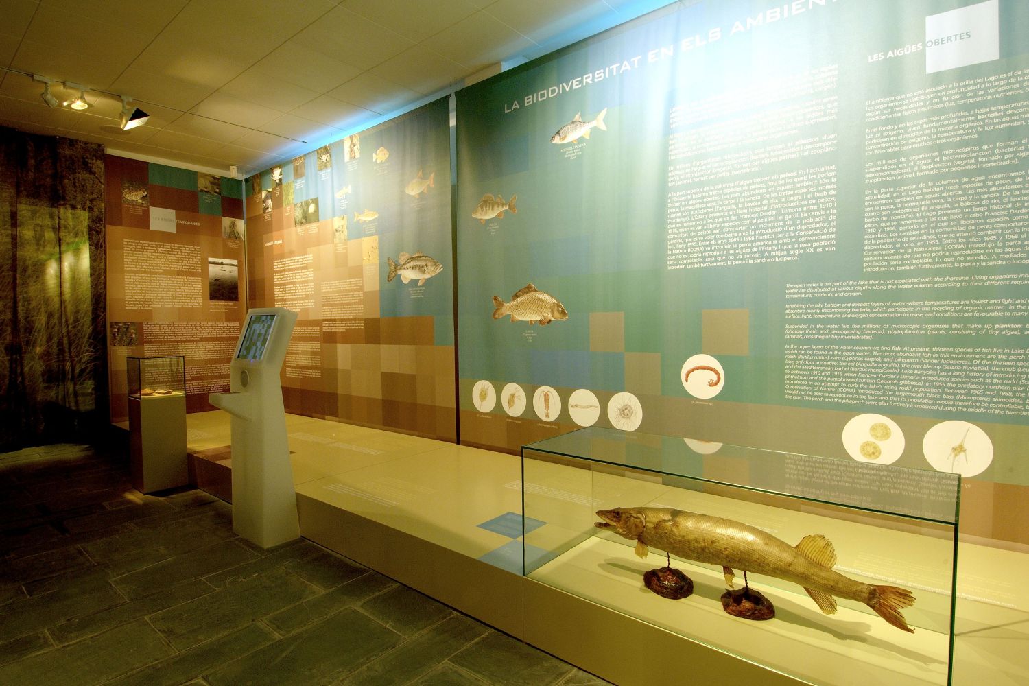 Museu Darder Museu Darder